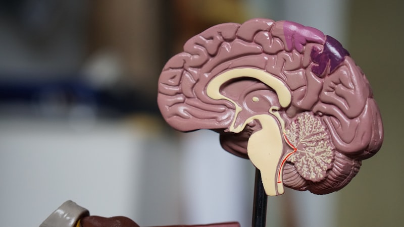 O que a Neurociência me ensinou sobre hábitos